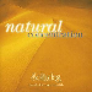 Dan Gibson: Natural Concentration (CD) - Bild 1