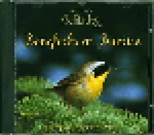 Dan Gibson: Songbirds At Sunrise (CD) - Bild 3