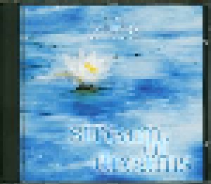 Dan Gibson: Stream Of Dreams (CD) - Bild 3