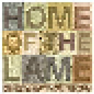 Cover - Home Of The Lame: Sing What You Know