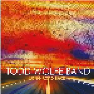 Todd Wolfe Band: Long Road Back - Cover
