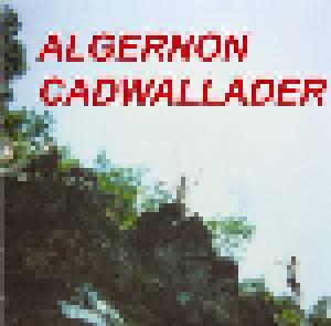 Algernon Cadwallader: Fun - Cover