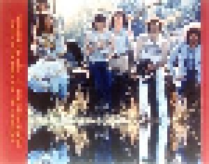 Steeleye Span: The Best Of Steeleye Span (CD) - Bild 5