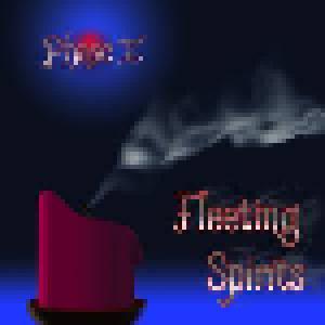 Phase II: Fleeting Spirits - Cover