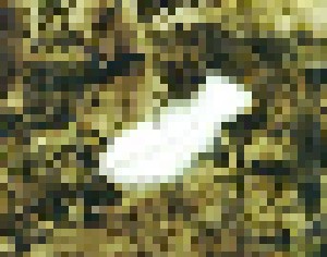 Arakain: Forrest Gump (CD) - Bild 3