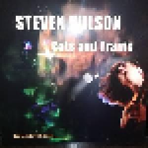 Steven Wilson: Cats And Trains - Cover