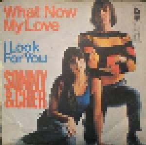 Sonny & Cher: What Now My Love - Cover