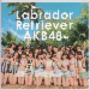 AKB48: Labrador Retriever - Cover