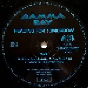 Gamma Ray: Heading For Tomorrow (LP) - Bild 4
