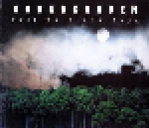 Soundgarden: Fell On Black Days (2-Single-CD) - Bild 1