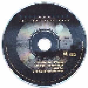 Soundgarden: Fell On Black Days (2-Single-CD) - Bild 3