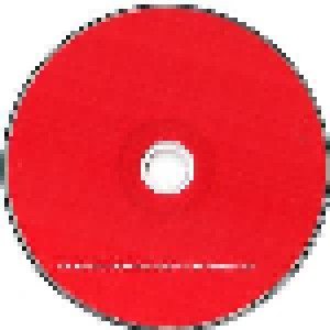 Calexico | Iron & Wine: In The Reins (Mini-CD / EP) - Bild 3