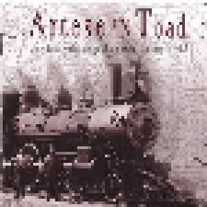 Artese 'n Toad: They Don't Write Songs About Trains Anymore Vol. 2 - Cover