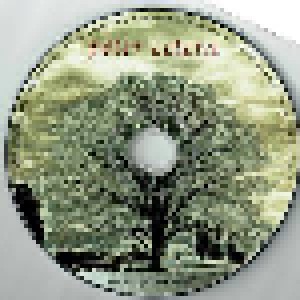 Peter Cetera: Another Perfect World (CD) - Bild 3