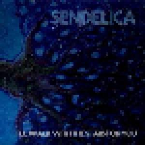 Sendelica: I'll Walk With The Stars For You - Cover