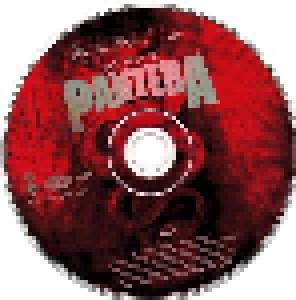 Pantera: Reinventing Hell - The Best Of Pantera (CD + DVD) - Bild 4