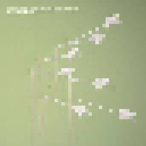 Modest Mouse: Good News For People Who Love Bad News (DualDisc) - Bild 1