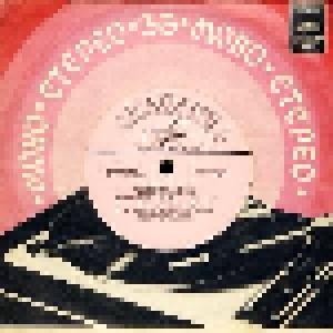 Siegfried Walendy: Мелодии Друзей-70 - Cover