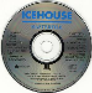 Icehouse: Masterfile (CD) - Bild 2