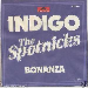 The Spotnicks: Indigo - Cover