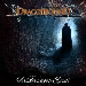 Dragonbound: Episode 13 - Faldauns Spiel - Cover