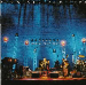 Pino Daniele: Concerto Medina Tour 2001 - Cover