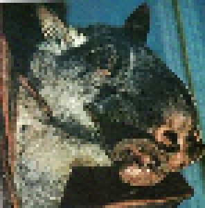 Fudge Tunnel: Creep Diets (CD) - Bild 7