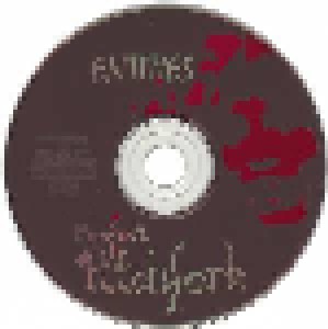 Project Pitchfork: Entities (CD) - Bild 4