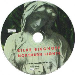 Silke Bischoff: Northern Lights (Promo-CD) - Bild 2