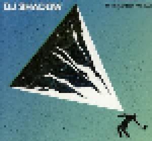 DJ Shadow: Mountain Will Fall, The - Cover