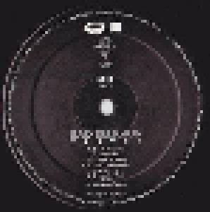 Bad Religion: Tested (2-LP) - Bild 5
