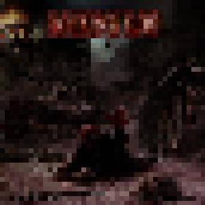Drowned In Blood: The Warfare Continues (CD) - Bild 1