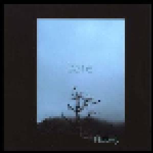 Wayne Hussey: Bare (CD) - Bild 1