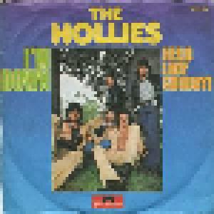 The Hollies: I'm Down - Cover