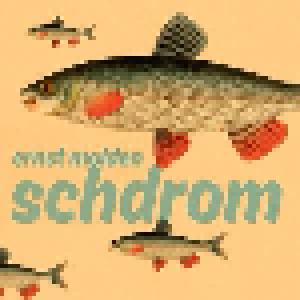 Ernst Molden: Schdrom - Cover