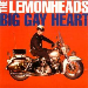 The Lemonheads: Big Gay Heart - Cover