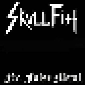 Cover - Skull Fist: No False Metal