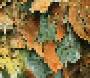 Type O Negative: October Rust (CD) - Bild 5