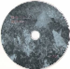 Scattered Remnants: Procreating Mass Carnage (Mini-CD / EP) - Bild 3