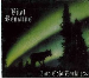 Vital Remains: Into Cold Darkness (CD) - Bild 1
