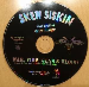 Skew Siskin: War, Fire, Guns & Blood (Promo-Single-CD) - Bild 3