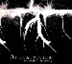 Apocalyptica Feat. Nina Hagen: Seemann (Promo-Single-CD) - Bild 1
