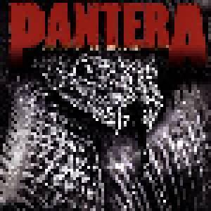 Pantera: Great Southern Outtakes, The - Cover