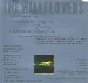 The Wallflowers: Heroes (Single-CD) - Bild 2