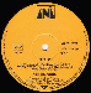 Neil Diamond: Gold (LP) - Bild 3