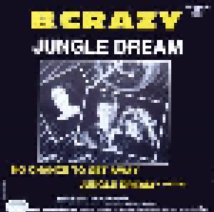 B. Crazy: Jungle Dream (12") - Bild 2