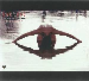 Alan Parsons: Eye 2 Eye - Live In Madrid - Cover