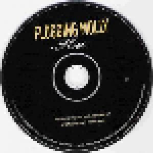 Flogging Molly: Float (CD) - Bild 3