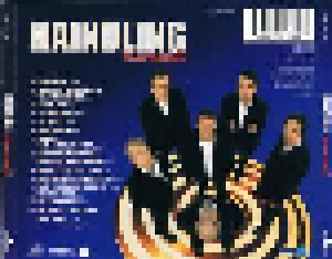 Haindling: Karussell (CD) - Bild 3