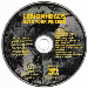 The Lemonheads: Hate Your Friends (CD) - Bild 3